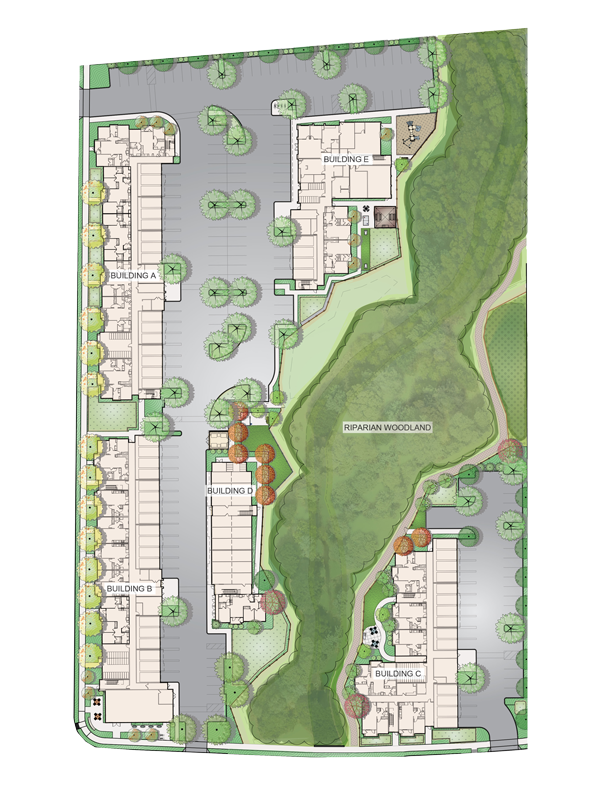 Anton Thurber Site Plan